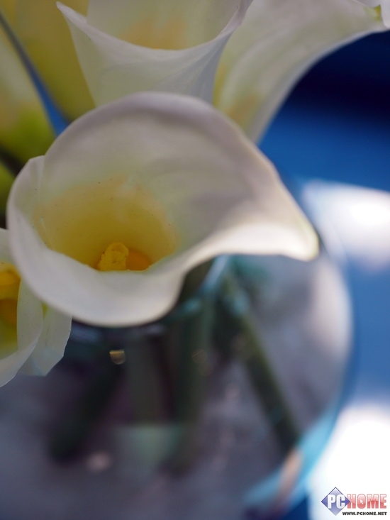 小痰盂也能出精彩 适马30mm镜头评测_数码