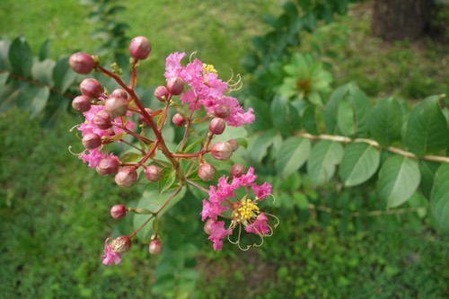 高感提升体验更佳索尼RX100II评测(9)