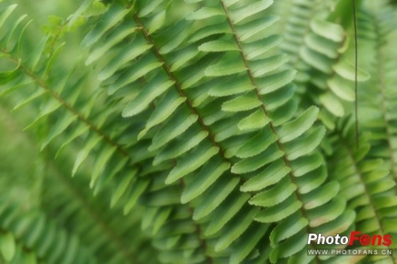 �޵�ͨ�������ʱ�������RX1Rʵ�Ĳ���(6)