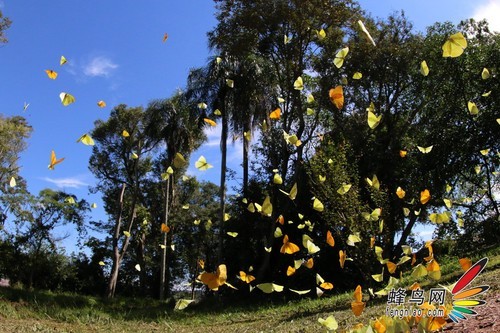更快速度、更高画质 佳能70D样片解析(2)|佳能