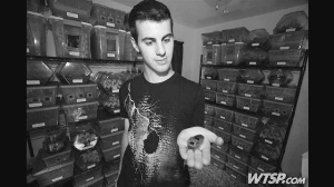 美国20岁大学生家养20万小强赚学费_科学探