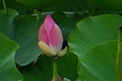 摄影师的随身利器索尼RX1R详细评测(5)