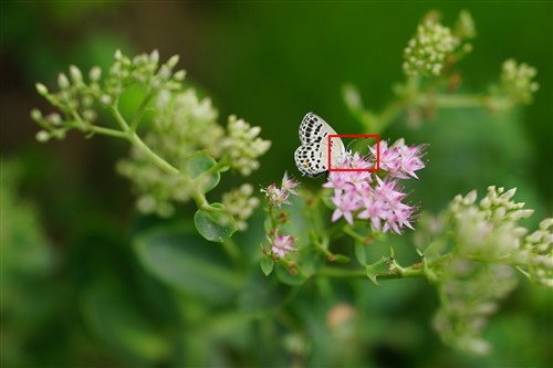 摄影师的随身利器索尼RX1R详细评测(5)