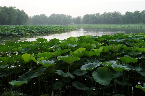 摄影师的随身利器索尼RX1R详细评测(5)