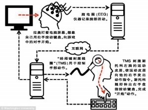 科学探索 > 正文   据新华社电 美国一些科研人员27日说,在一次试验中