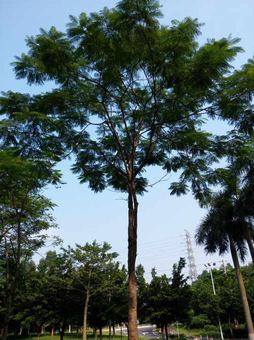 发烧的巨兽骁龙800芯LGOptimusG2评测