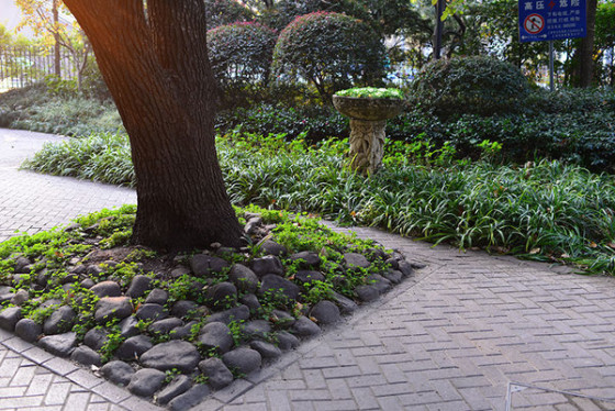 ������ȫ�����῵D610�����������(4)