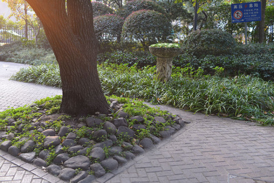 ������ȫ�����῵D610�����������(4)