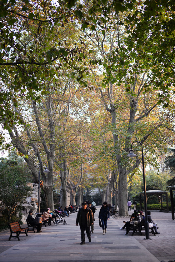 进击的全画幅尼康D610单反相机测试(5)