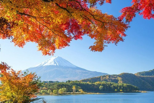 宛如仙境 春夏秋冬四季的富士山美景图