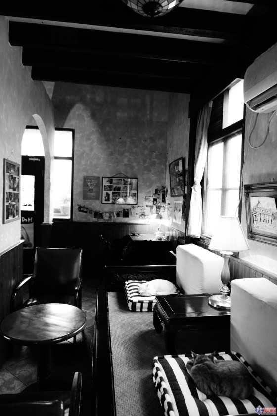 叫板无反最快对焦 索尼微单A6000评测