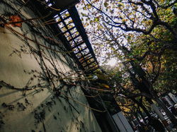 教你三招 用手机就能拍出好看的街头摄影