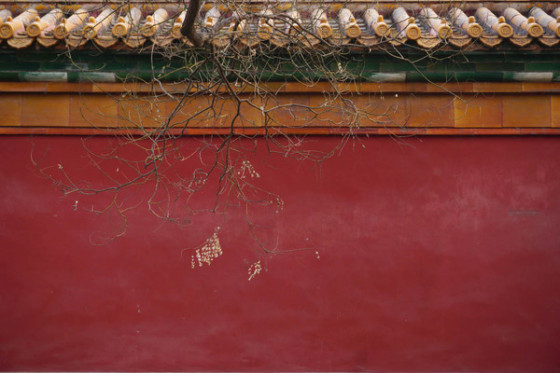 APS-C画幅旗舰微单索尼A6000实拍评测(6)