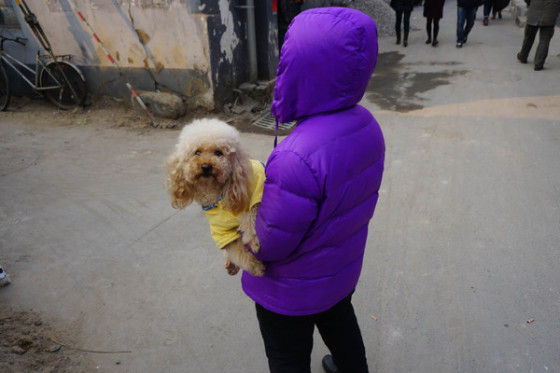 APS-C画幅旗舰微单索尼A6000实拍评测(6)