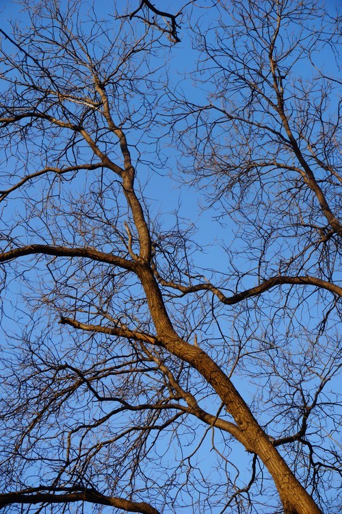 极速对焦新体验索尼时尚微单A6000评测(8)