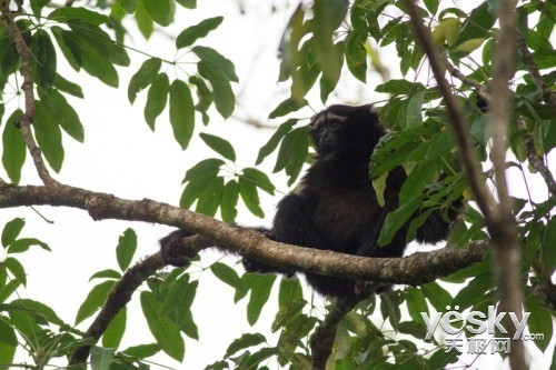 希捷硬盘全力支持2014野生动物摄影训练营