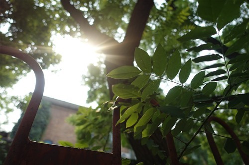 内置弹出式EVF索尼黑卡RX100III评测(5)