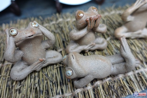 大火翻烘眼界全开索尼RX100M3深度评测(10)