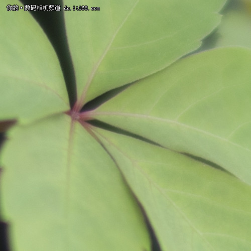 中一光学F0.95意味着什么?