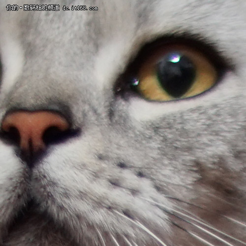 中一光学F0.95意味着什么?