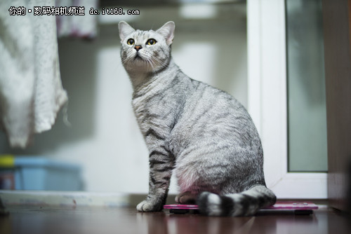 中一光学F0.95意味着什么?