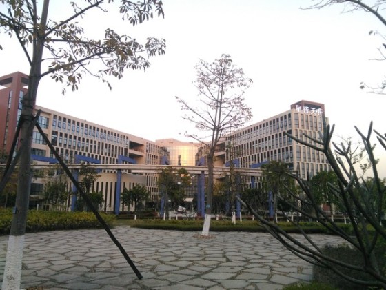 6英寸大屏电信4G双卡手机 华为GX1评测|华为