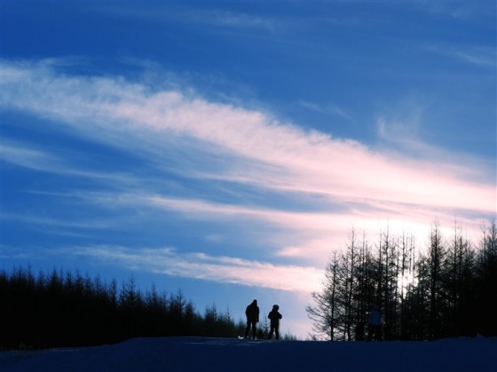 最强微单长焦头奥林巴斯40-150/f2.8评测