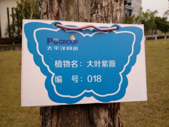 Android手机新境界国行MotoX体验评测(5)
