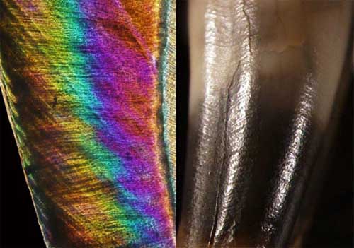 �Ƽ�ʱ��_�о���Զ������Ѩ���˱��ִ���ͯ��������(ͼ)