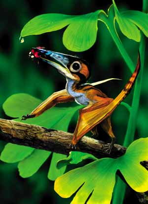 �Ƽ�ʱ��_��������������С������ʯ����ȸ��С(��ͼ)