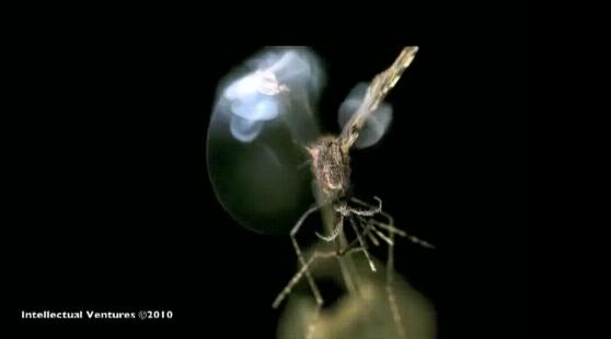 微软前高管造激光灭蚊器 可跟踪蚊子逐个击毙 - 天行者 - 天行者的博客
