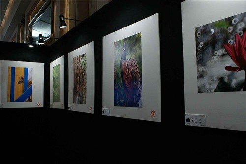 ����Ѳչ��4�֦���Ӱ����:����վ����