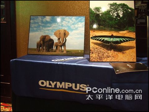 E彩纷呈 奥林巴斯E系列巡展深圳报道_数码