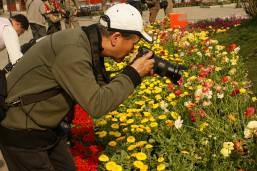 ʢ�����к�ȥ����������������ÿ���