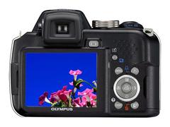 �������߰��ְ�˹SP565��װ���Ż�