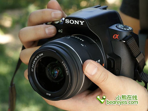 抵御涨价风波8月抢手型入门单反一览