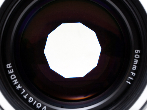 绝美散景徕卡M9搭载50mmF1.1实测样片