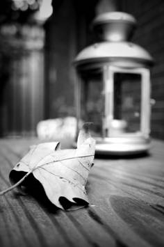 索尼NEX-5C 一同回忆白墙黑瓦间的淡淡忧伤_