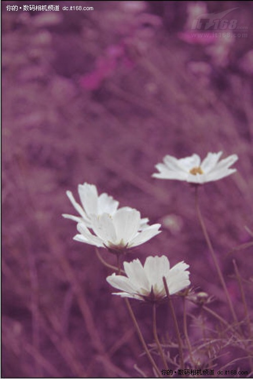 ϵСͼPSʵСһ(2)