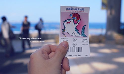 梦幻海岛!索尼NEX-7\/A77日本游记冲绳篇_数码