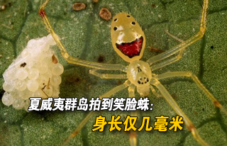 http://tech.sina.com.cn/d/2012-05-21/09367139418.shtml