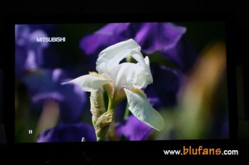 snell����+JVCͶӰ��������߼�ӰԺ(4)