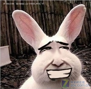 肥脸兔悲剧表情呲牙笑