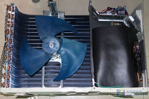 3000Ԫ�յ�֫��һ��ʱ���·���ս�