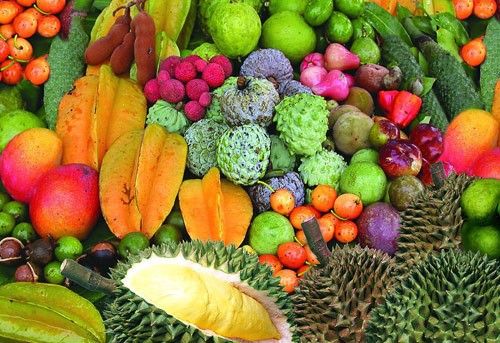 电费激增异味多冰箱“节后综合症”盘点