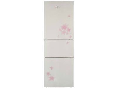 ���� BCD-221CHTA