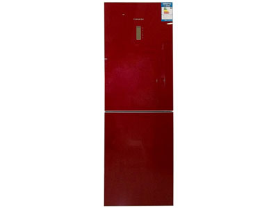 ������ BCD-290WBCZ