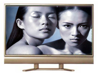  LCD-65G5