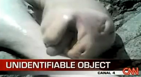 国家地理_巴拿马外星人真相揭开:实为死亡树懒