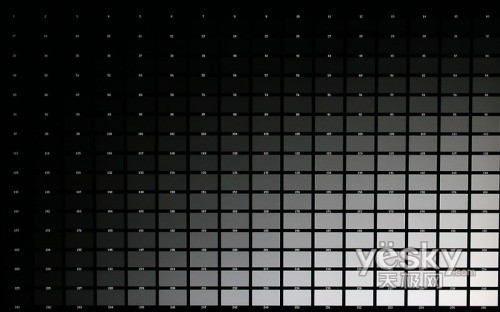 液晶显示器256位黑白色阶测试(点击放大)